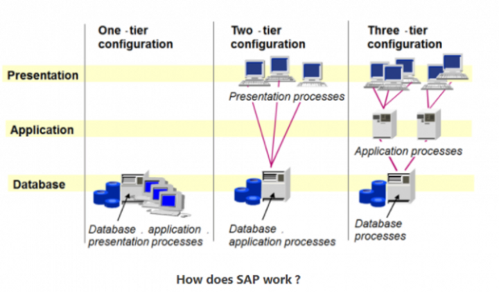 SAP visual data 8