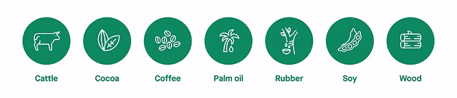 Which Product Groups Are Affected by the EUDR?